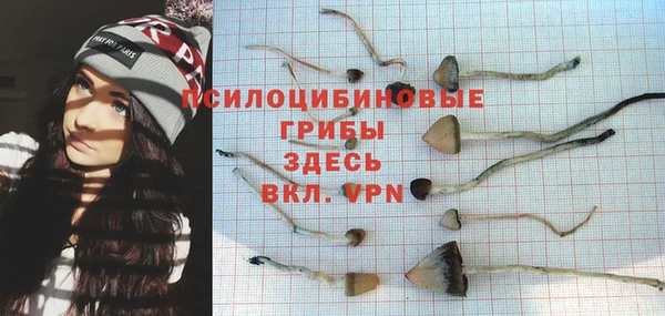 Альфа ПВП Богданович