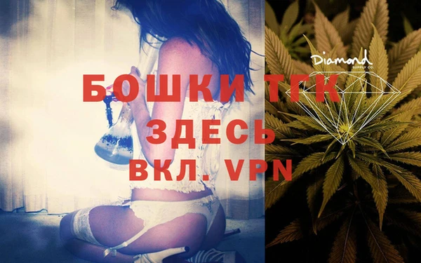 spice Богородск