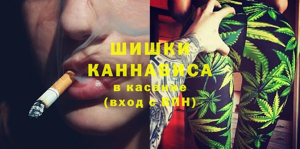 хмурый Бородино