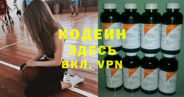 хмурый Бородино