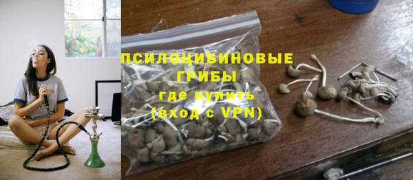 хмурый Бородино