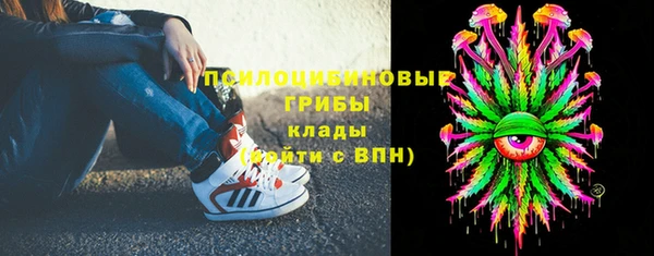 spice Богородск