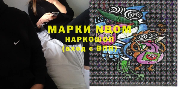 хмурый Бородино