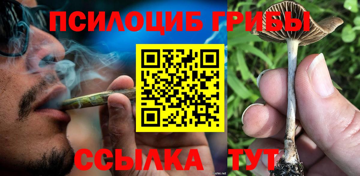Псилоцибиновые грибы Magic Shrooms Дагестанские Огни