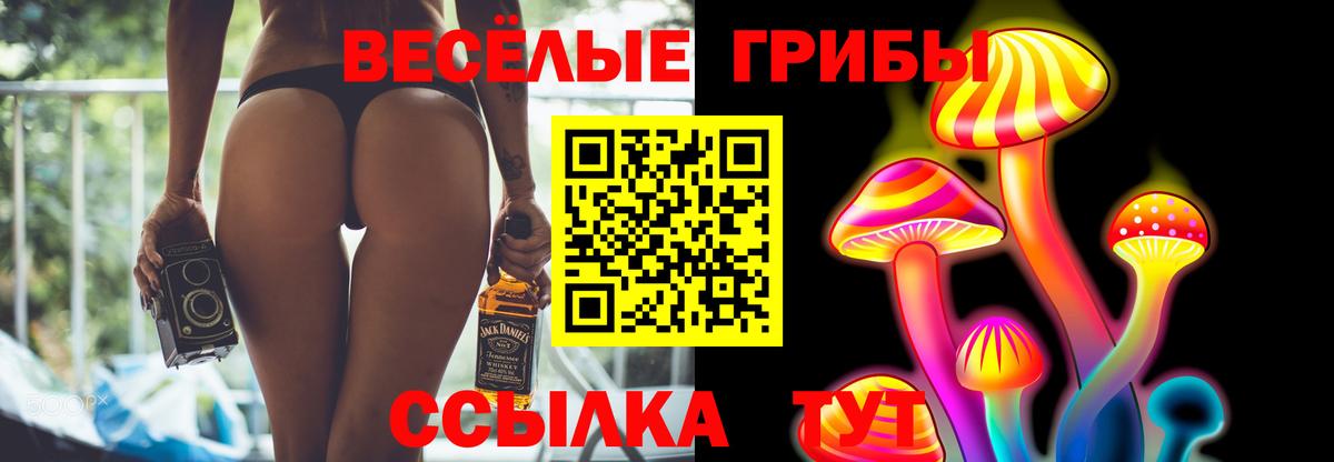 Дагестанские Огни  Галлюциногенные грибы Psilocybe  Вход с VPN 